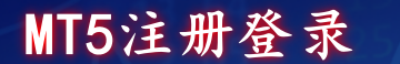 MT5注册